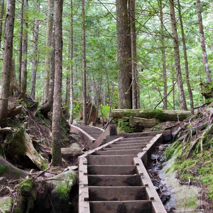 Near Bridal Veil Falls, Washington