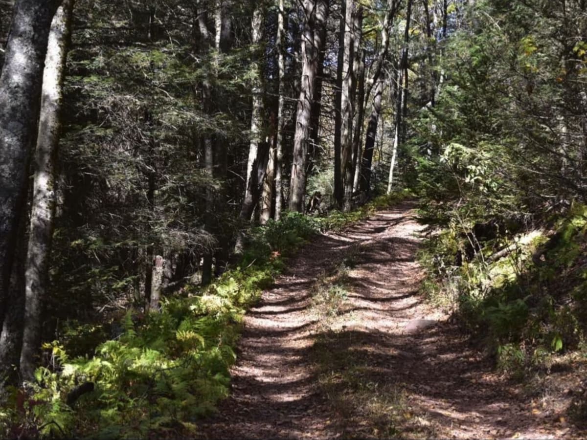 Bother Flagpole Knob Trail photo 6
