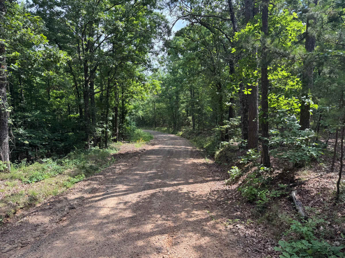 County Road 3857 trail photo