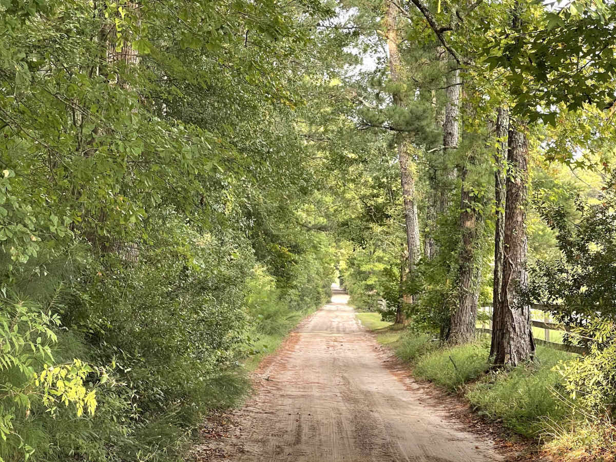 Lillington Lane trail photo