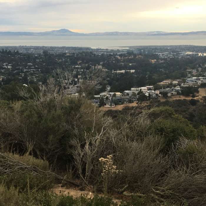 Near Water Dog Loop Trail