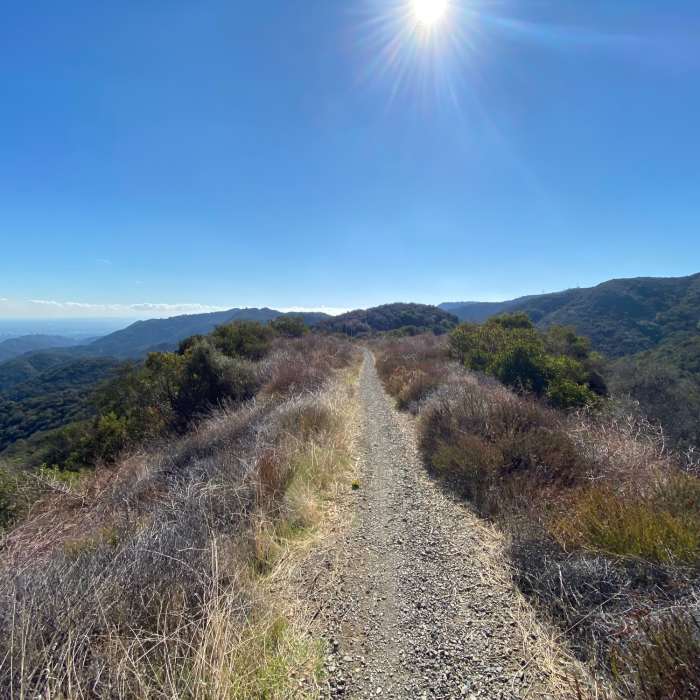 Near Backbone Trail - The Hub to Will Rogers State Park