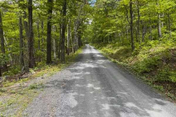 Devils Hole Road