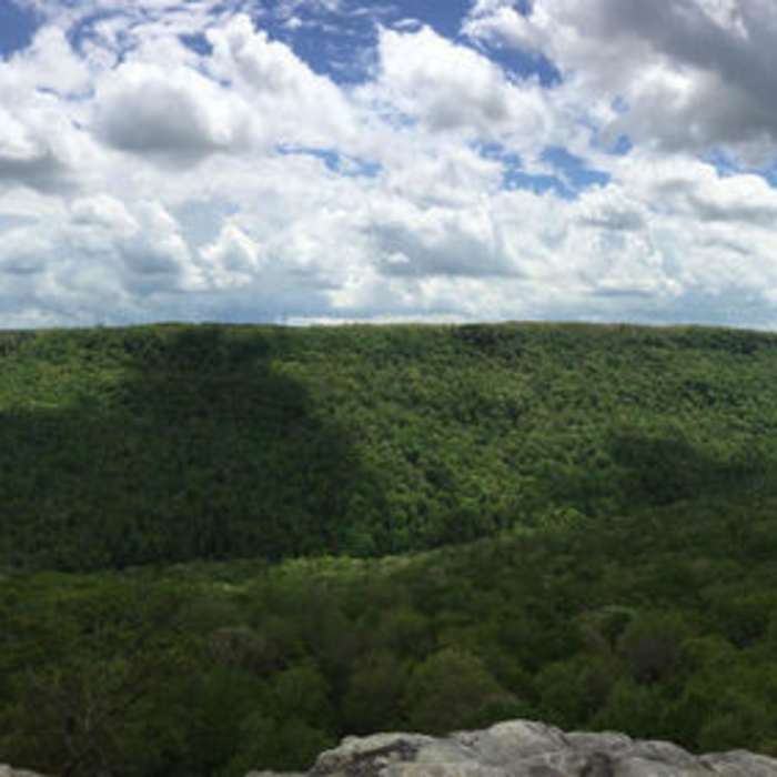 Near Big Creek Gulf Loop