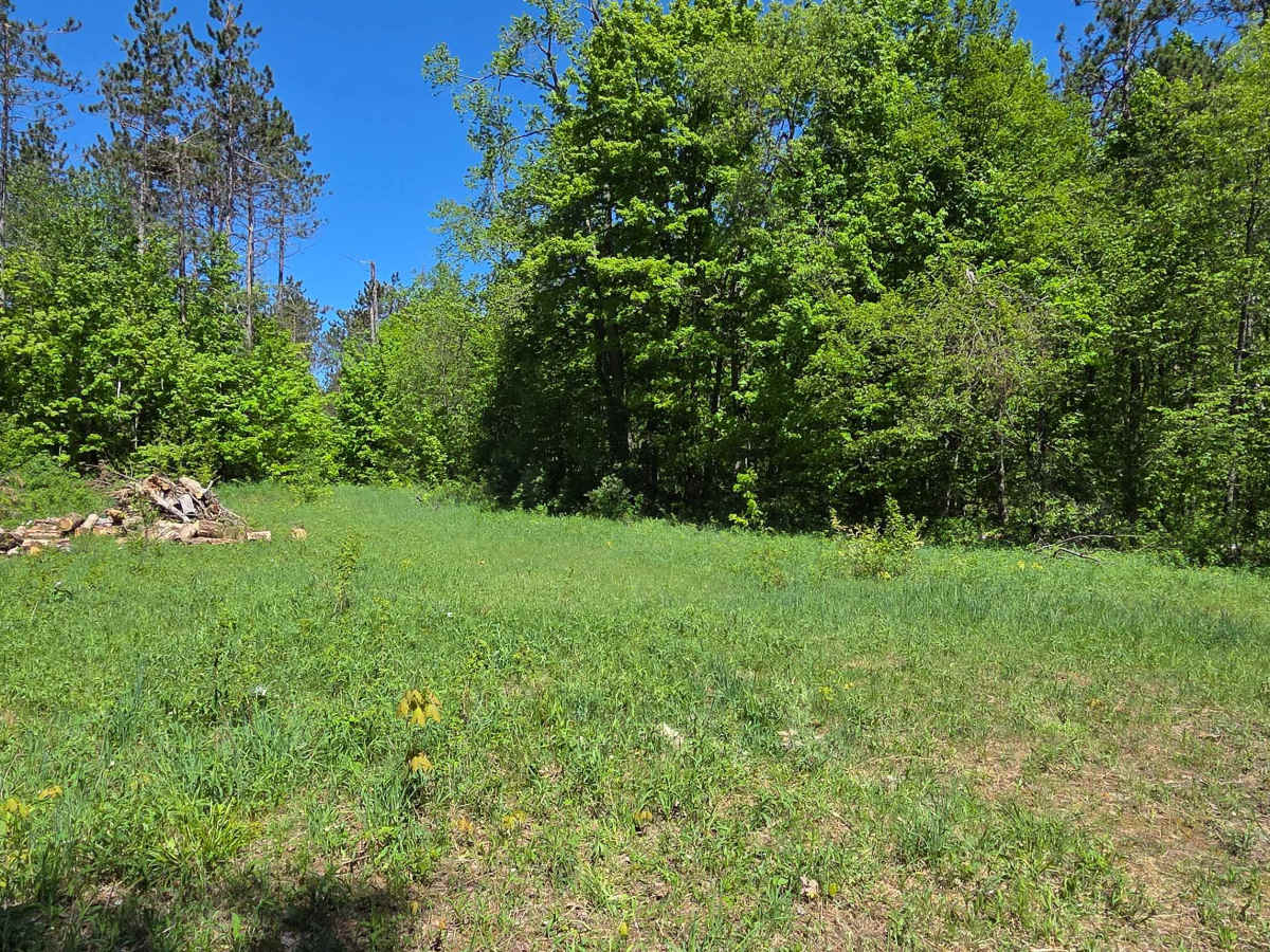 Newson Loop photo 3