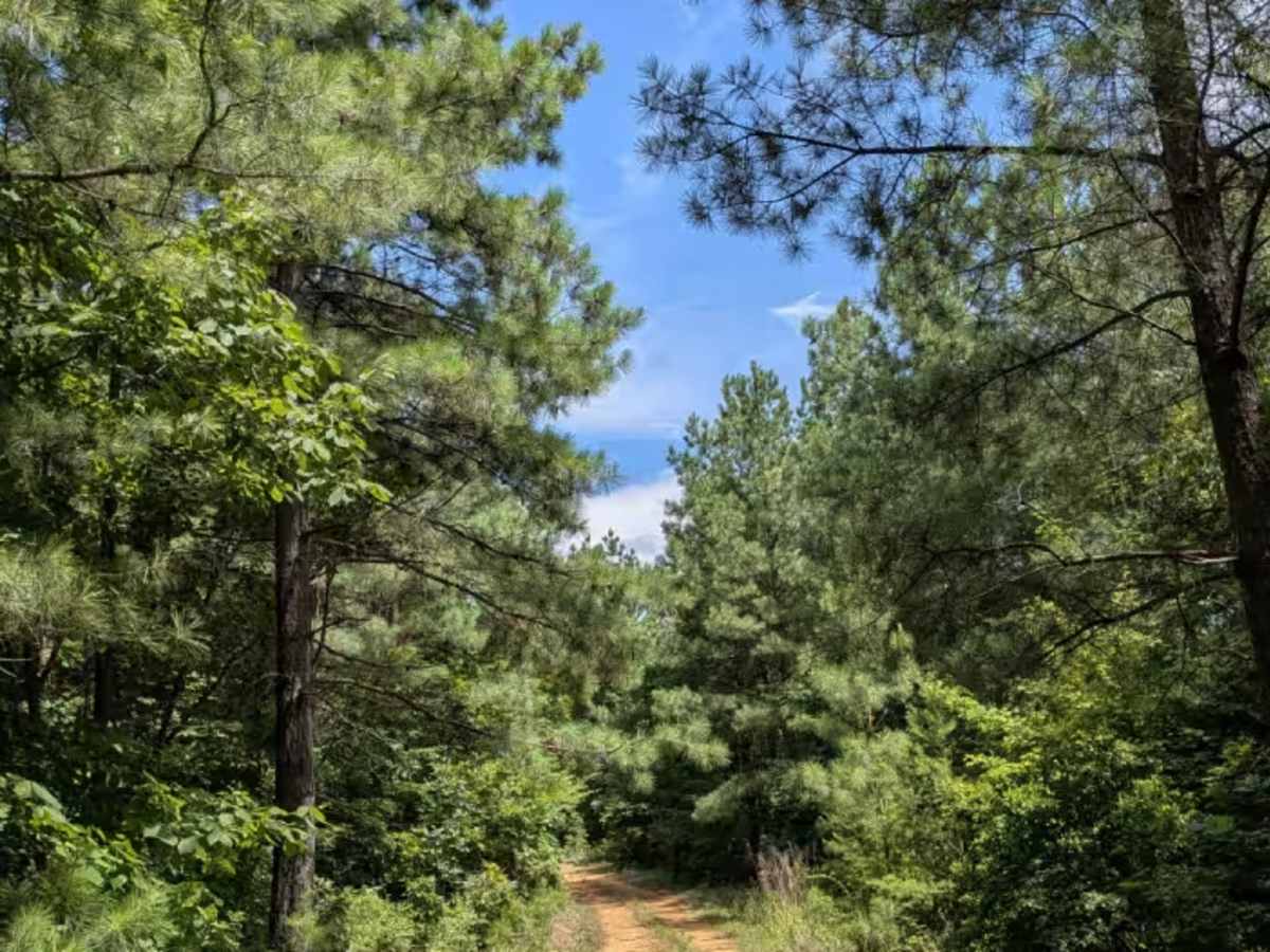 Brown Hollow Road photo 4