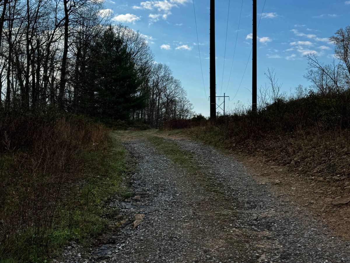 Eagleton Powerline Trail photo 2