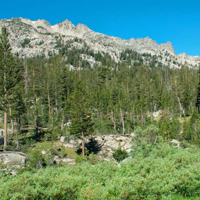 Near Buckeye  Pass Trail