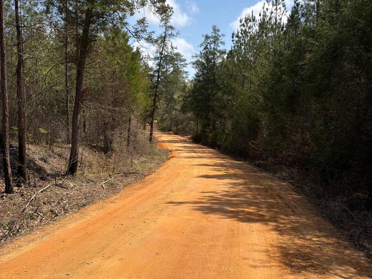Overstreet Road photo 4