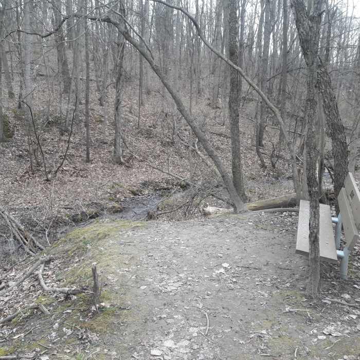 This bench offers a pleasant sit along a small creek near the largest clearing along the Chickadee Trail. Near Deer Run Trail
