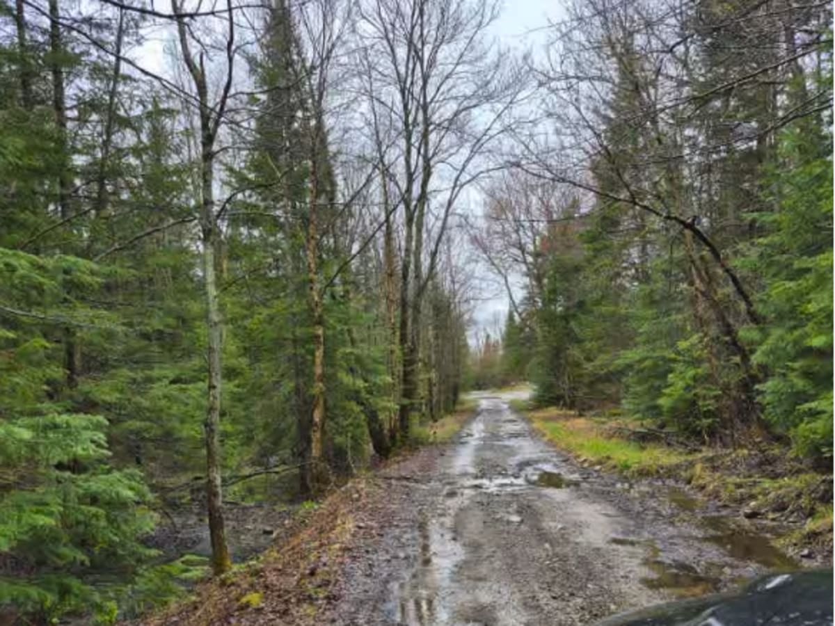 Glenfield and Western Railroad Corridor photo 3