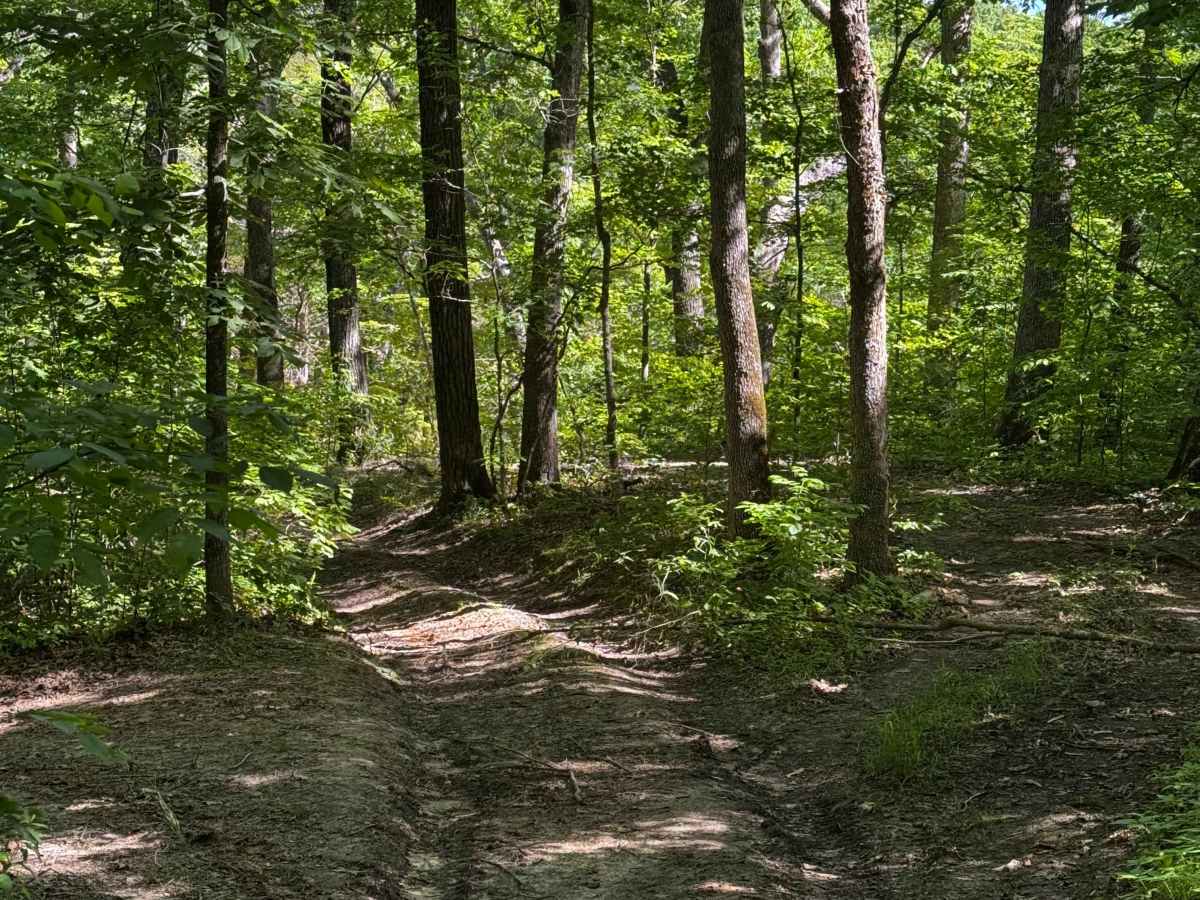 Inner Track 27.2 trail photo