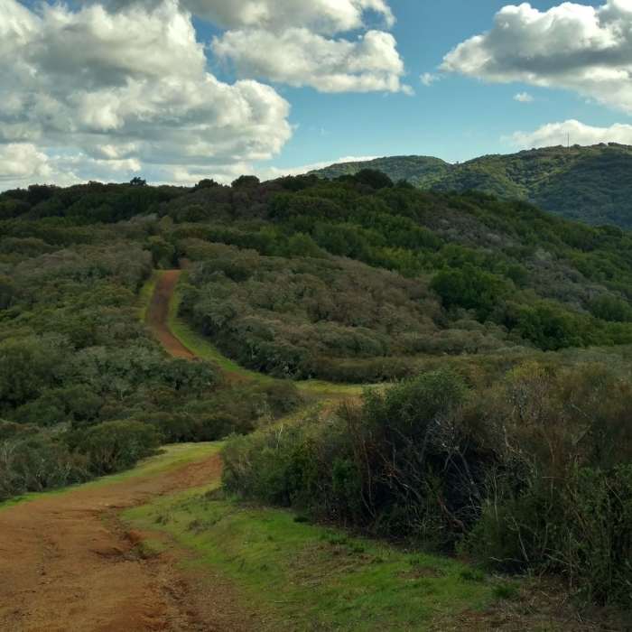 Near Kennedy Trail