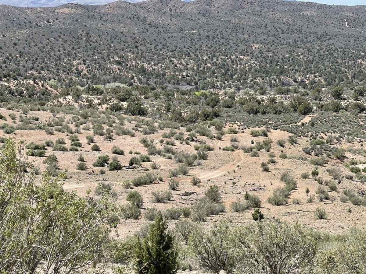 A Ridgeline Romp photo 2