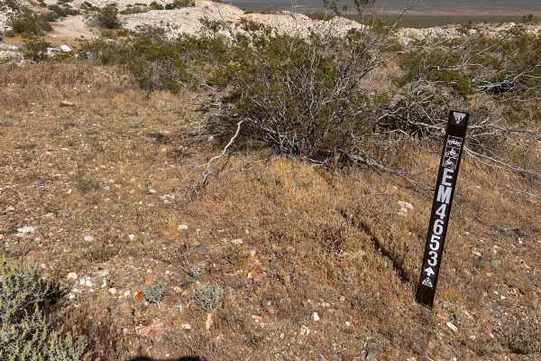 Windmill Trail