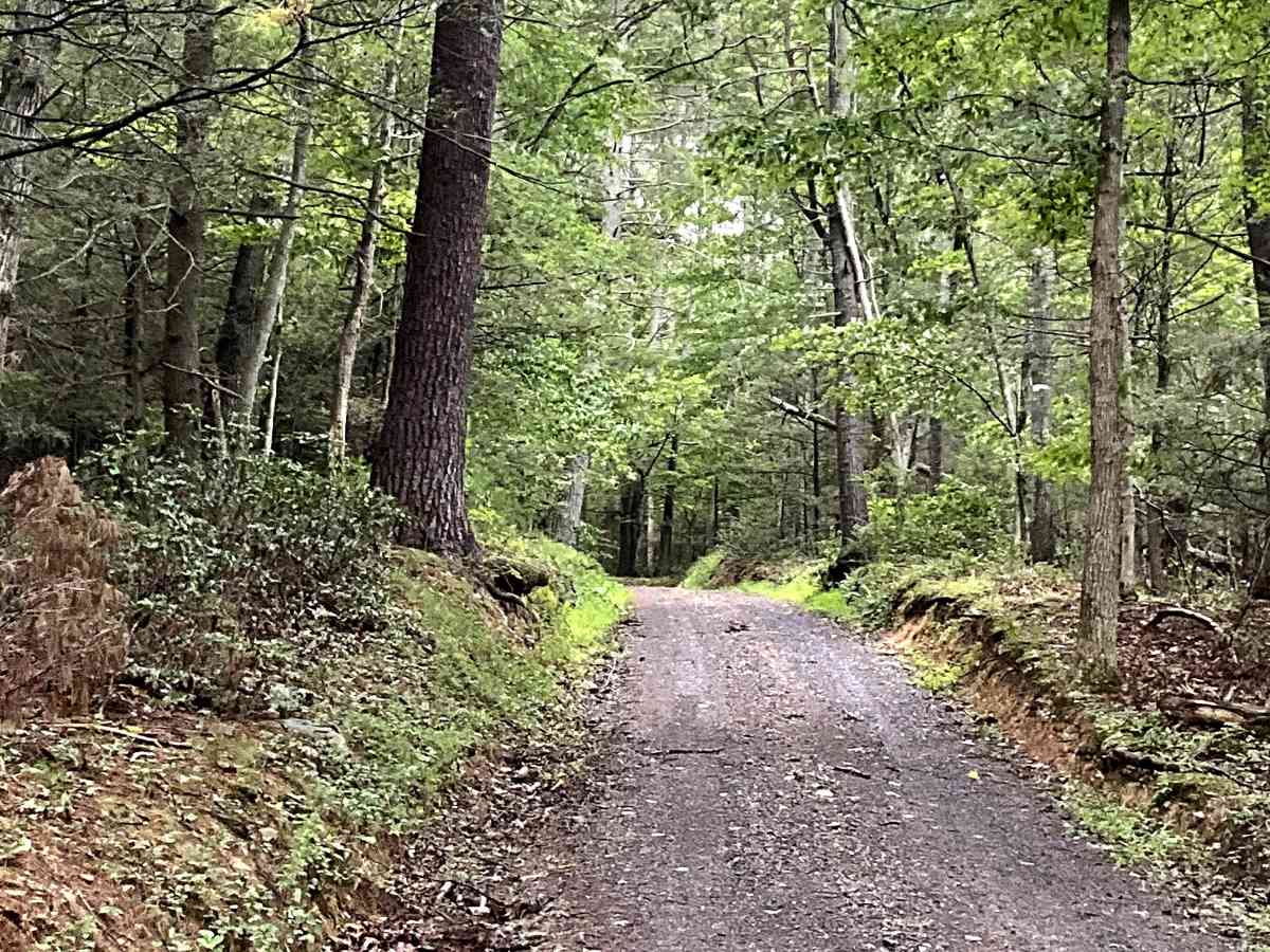Belle Valley trail photo