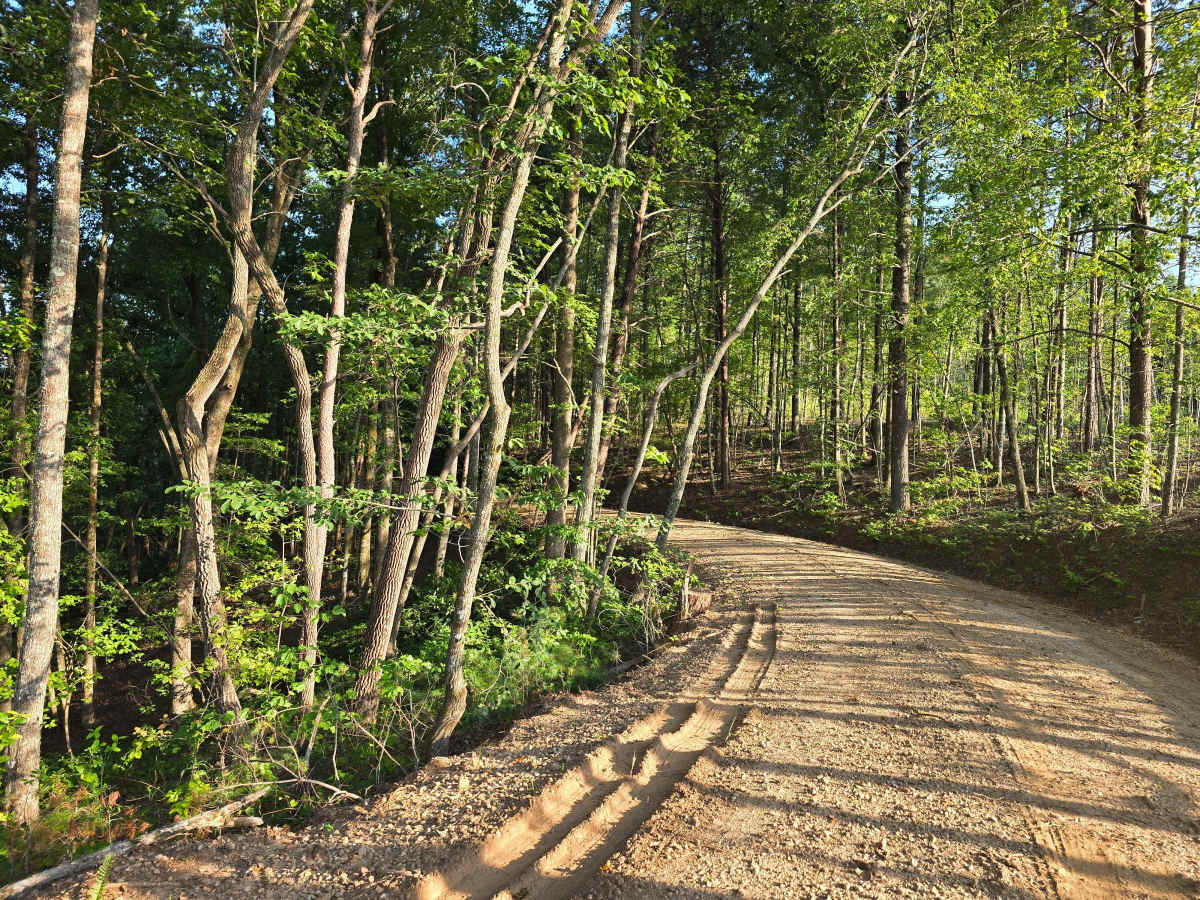 Persimmon Road - FS 741 photo 5