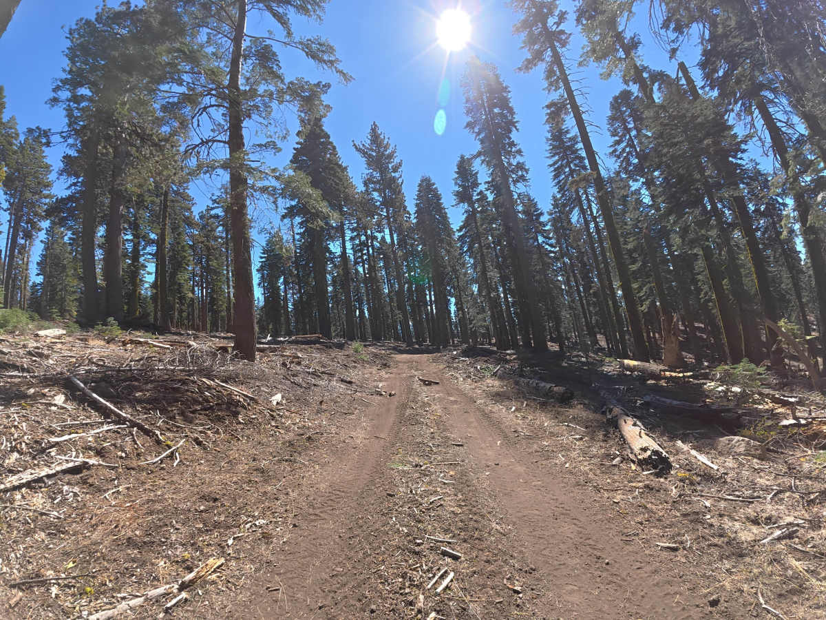 FS 17EV497 photo 6