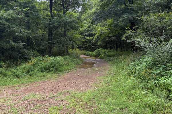 Creek Bed Drive - FS 93023