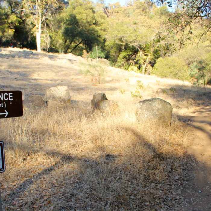 Near Point Defiance Loop Trail