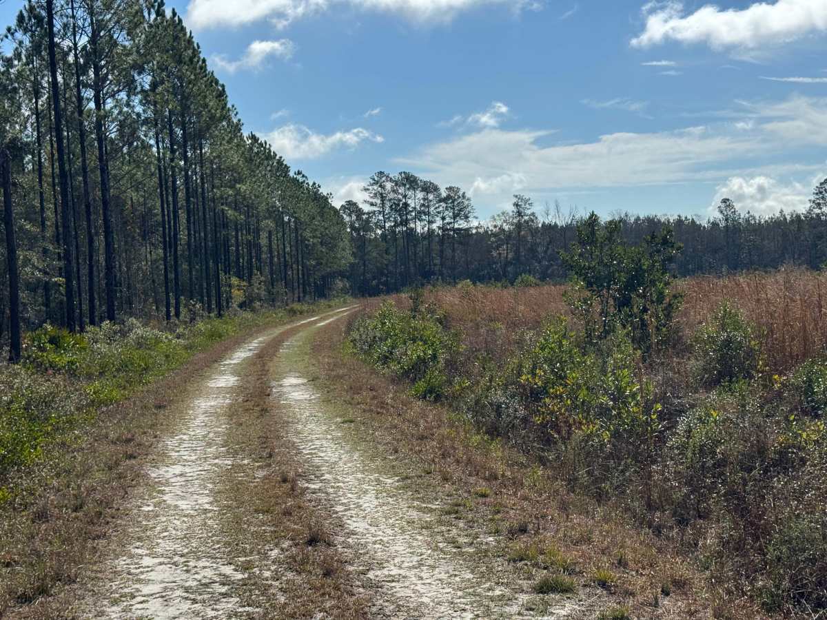 Clay Hill Road photo 5