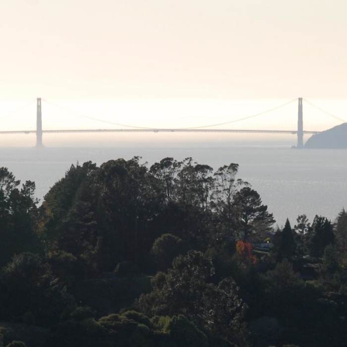 Near Nimitz Way Trail