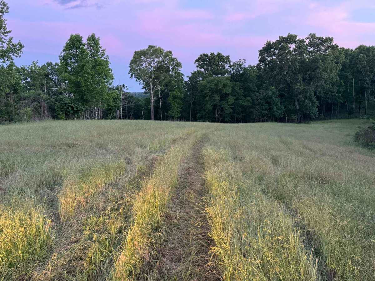 Glade 1112C trail photo