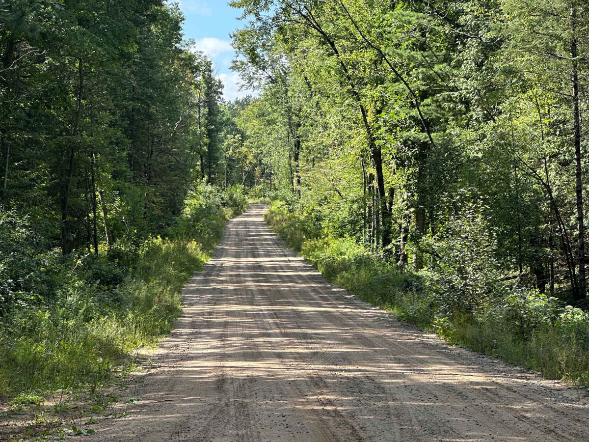 Dolph Road  photo 5