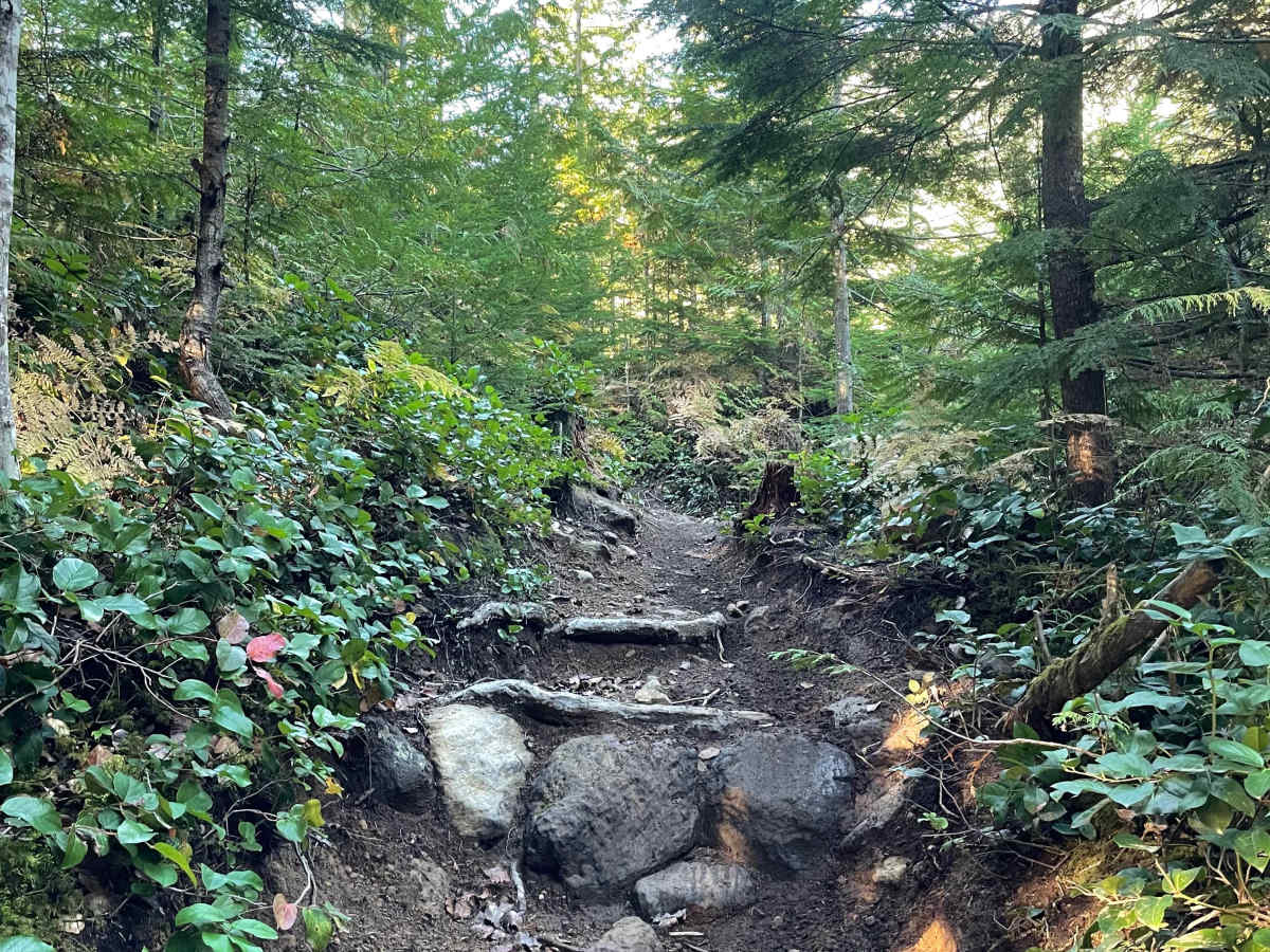 Powerline Trail photo 3