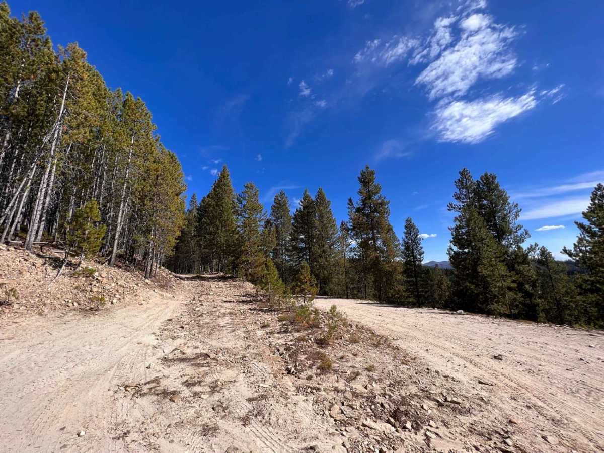 Black Bear Point photo 4