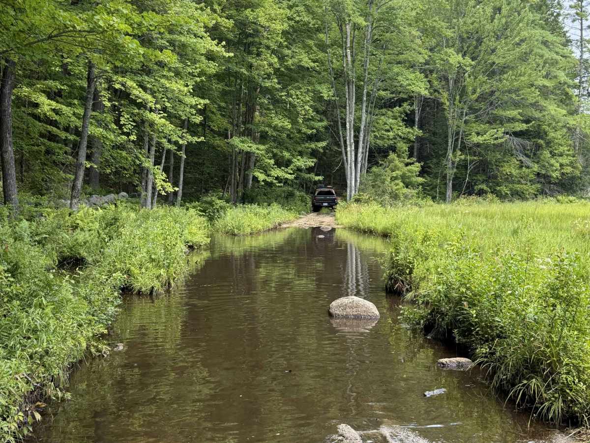Cunningham Pond Road photo 2