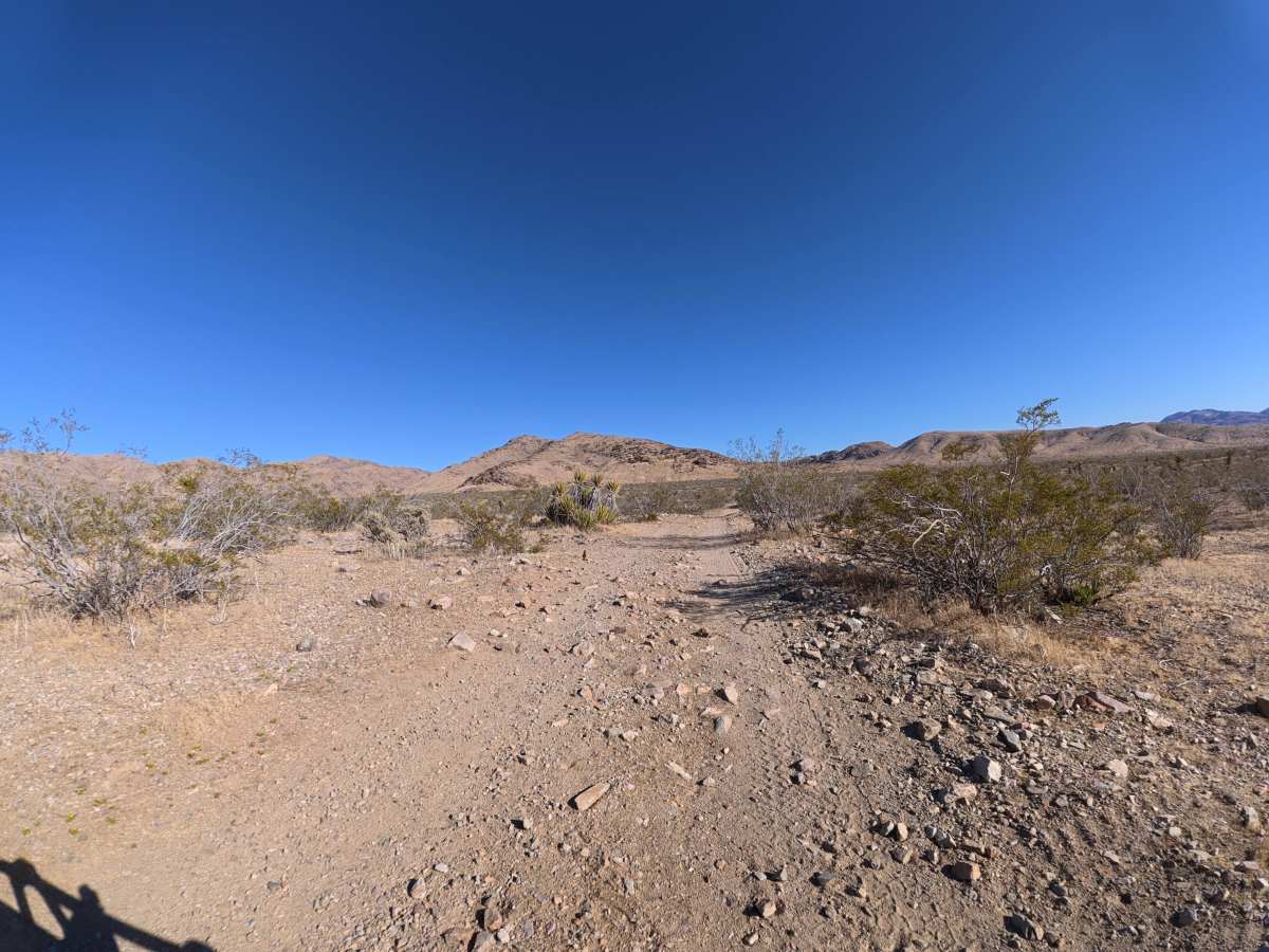 BLM SV2636 photo 2