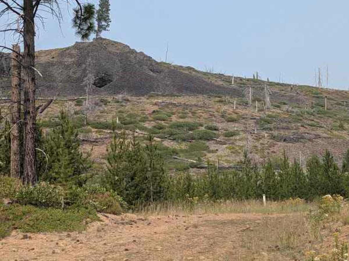 N1090 trail photo