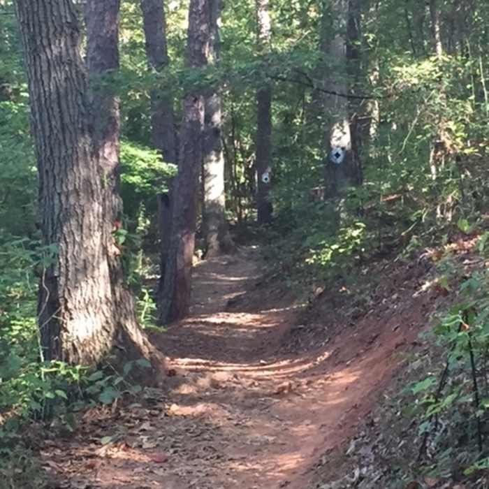 "Flat Tail Trail" just after "Woodie Walk" Near The Big Lefty