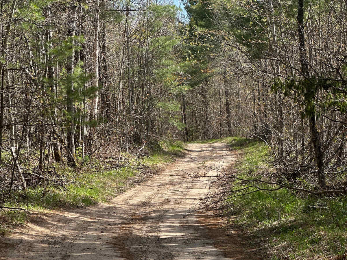 Deadman Cutover  photo 5