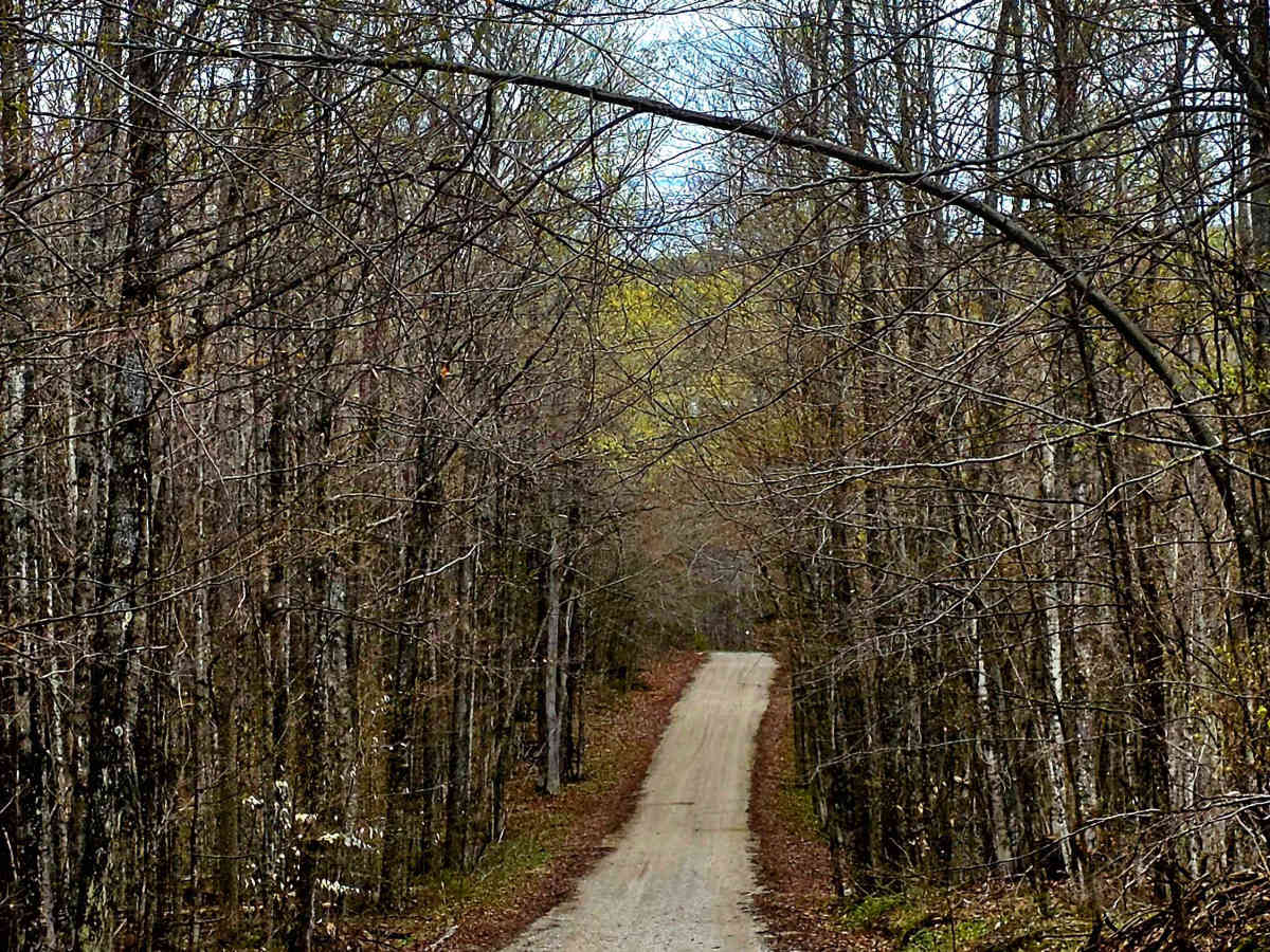 McEachron Road photo 5