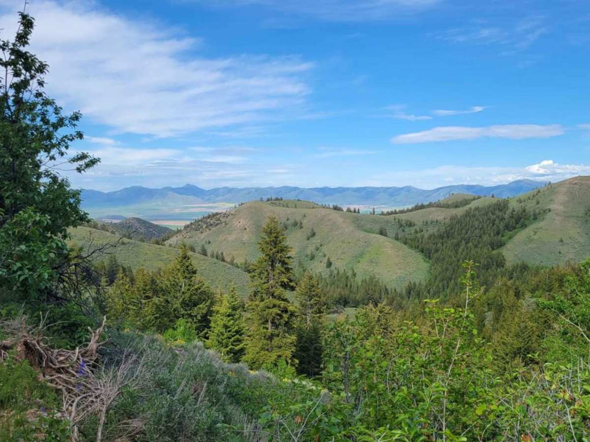 Sheep Canyon 2 photo 4
