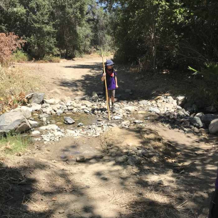 Near Trabuco Creek Out-and-Back