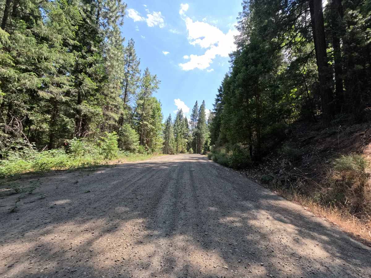 Buckeye Creek - FS 37N52 photo 4