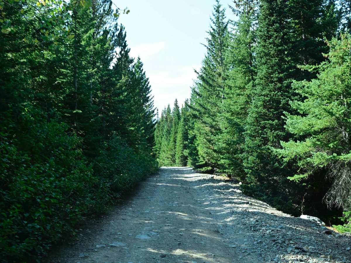 Copper Creek Road - FS 330 photo 6