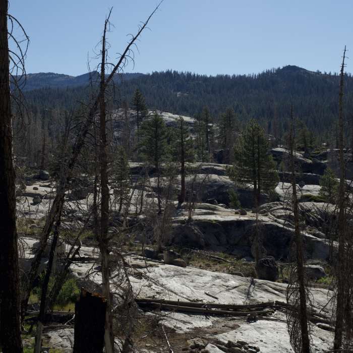 Near Yosemite Creek Trail
