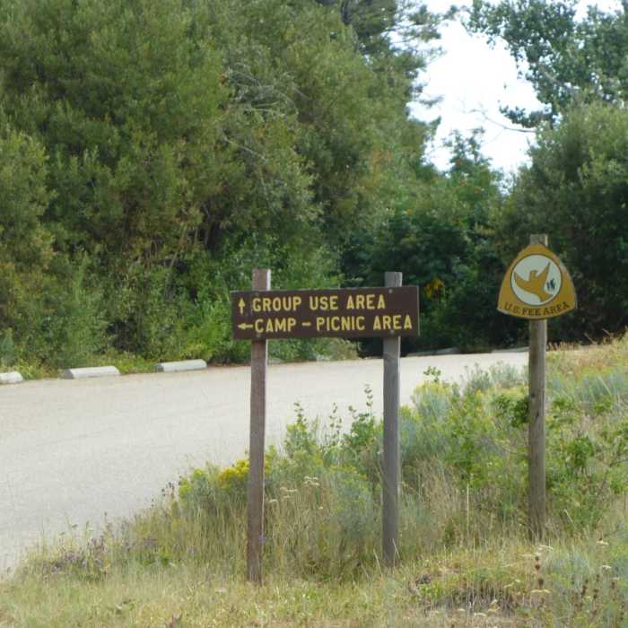 Near Shafer Butte and Mores Mountain Trailhead
