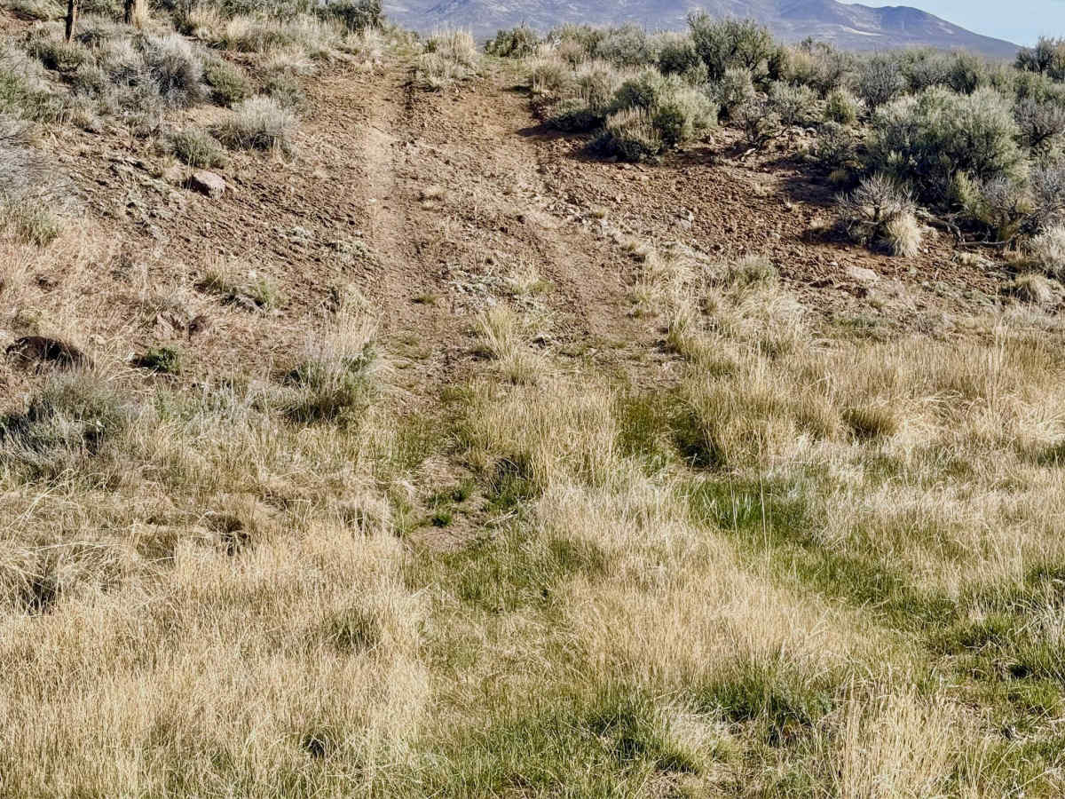 Bade Creek Bypass - FS 43224 photo 6
