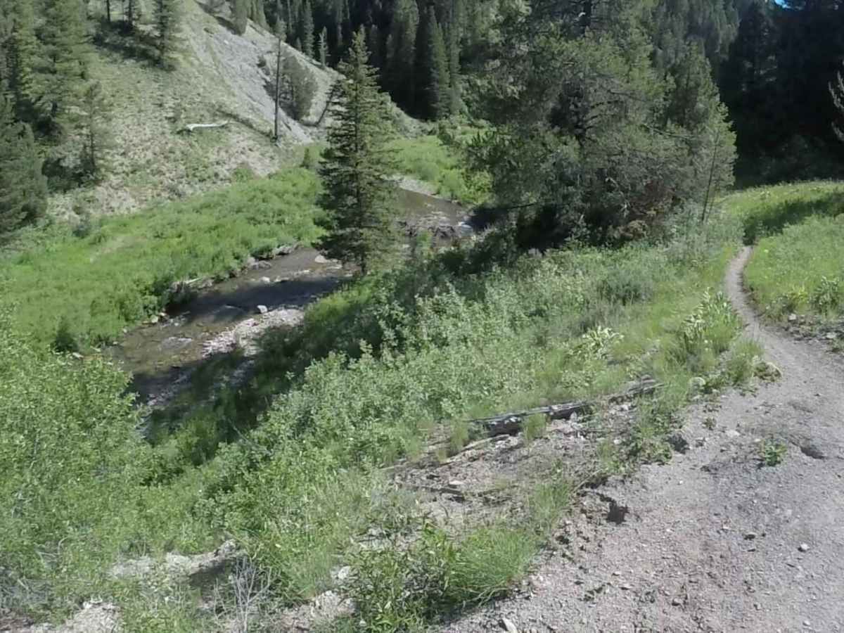 North Bear Creek photo 4