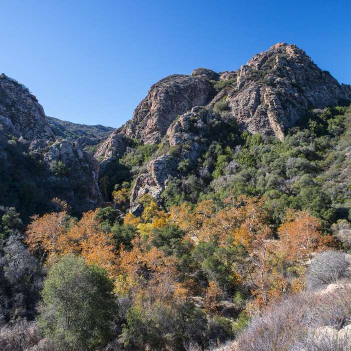 Near Chaparral Trail Loop Hike