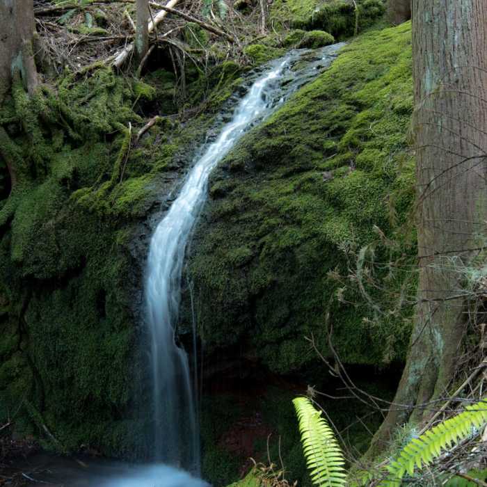 Near Cloverpatch Trail Hike