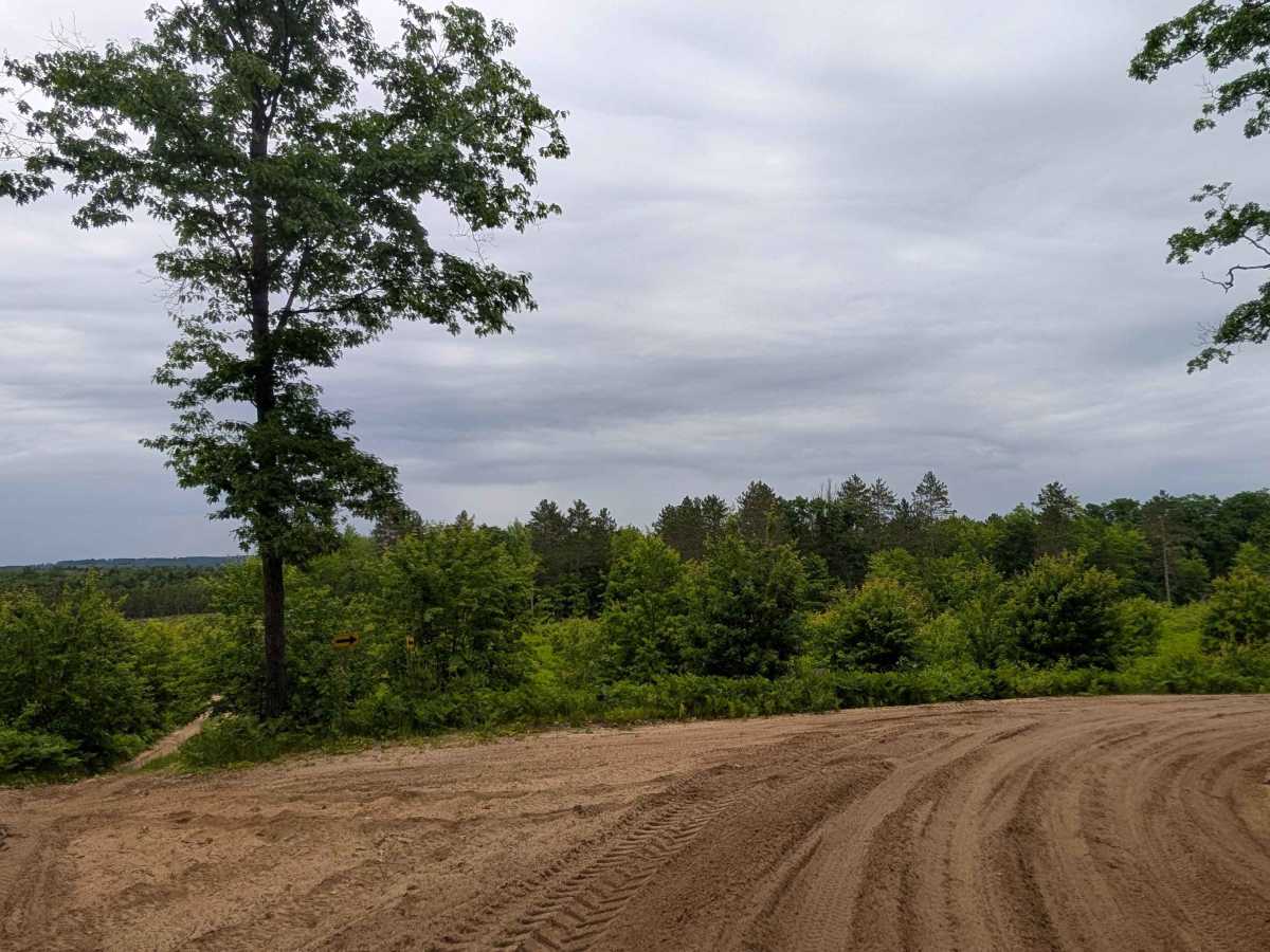 West Higgins Route Section 2 photo 6