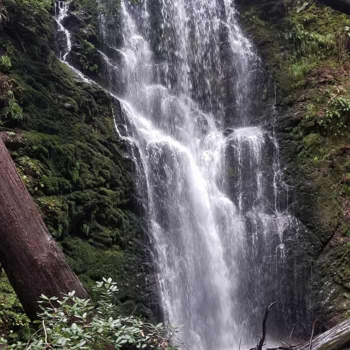 Near Berry Creek Falls Trail