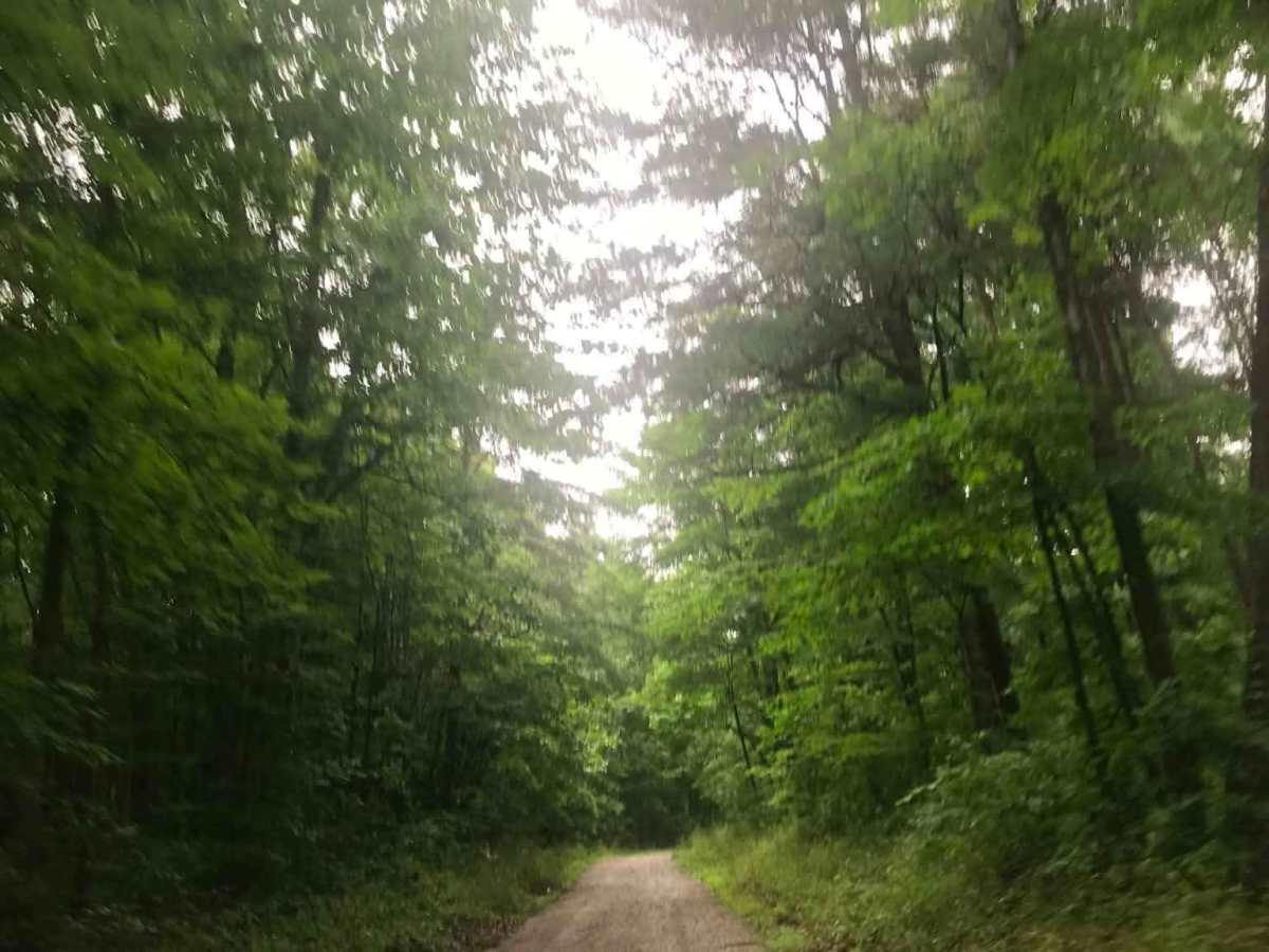 Township Road 152 photo 3