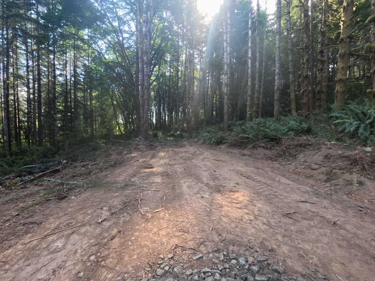 W-1055 trail photo
